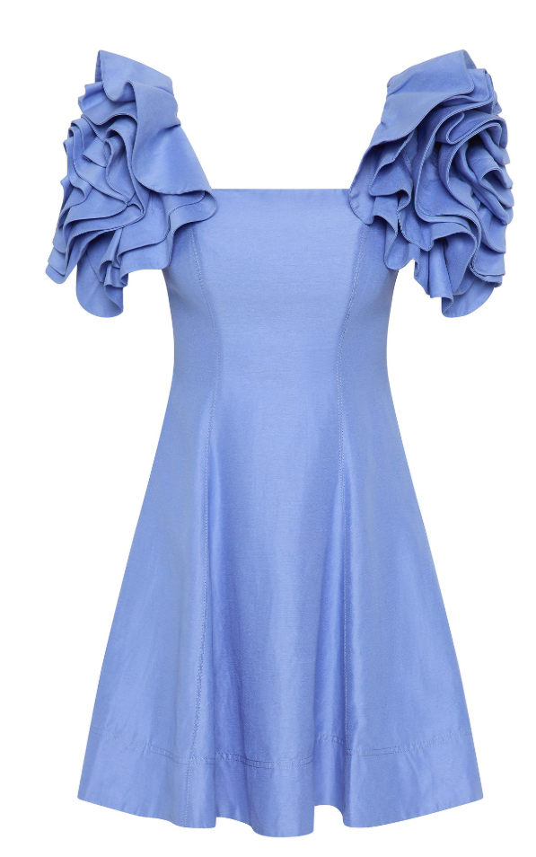 Twyla Mini Dress 10