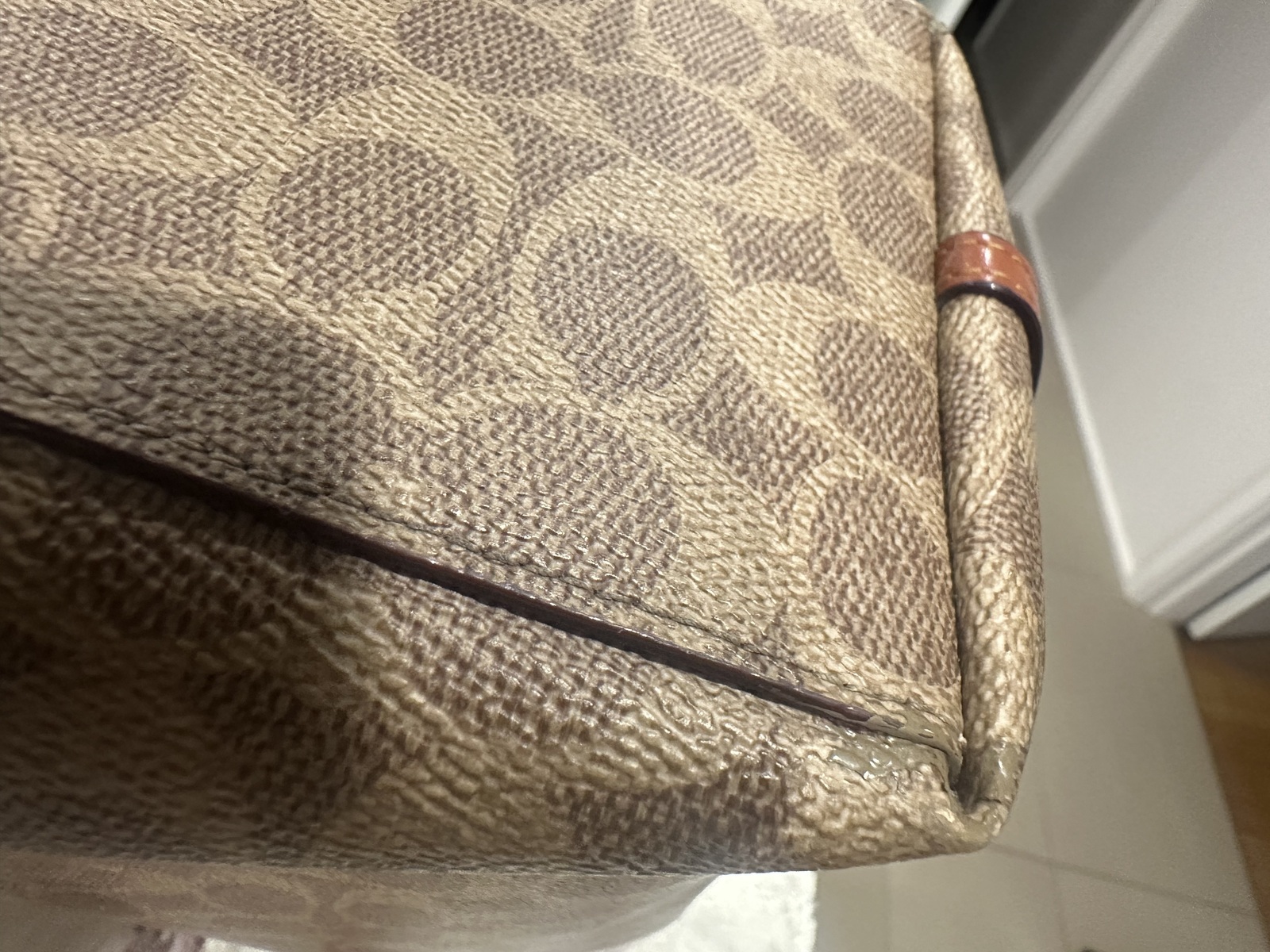ladies Day tote in signature canvas