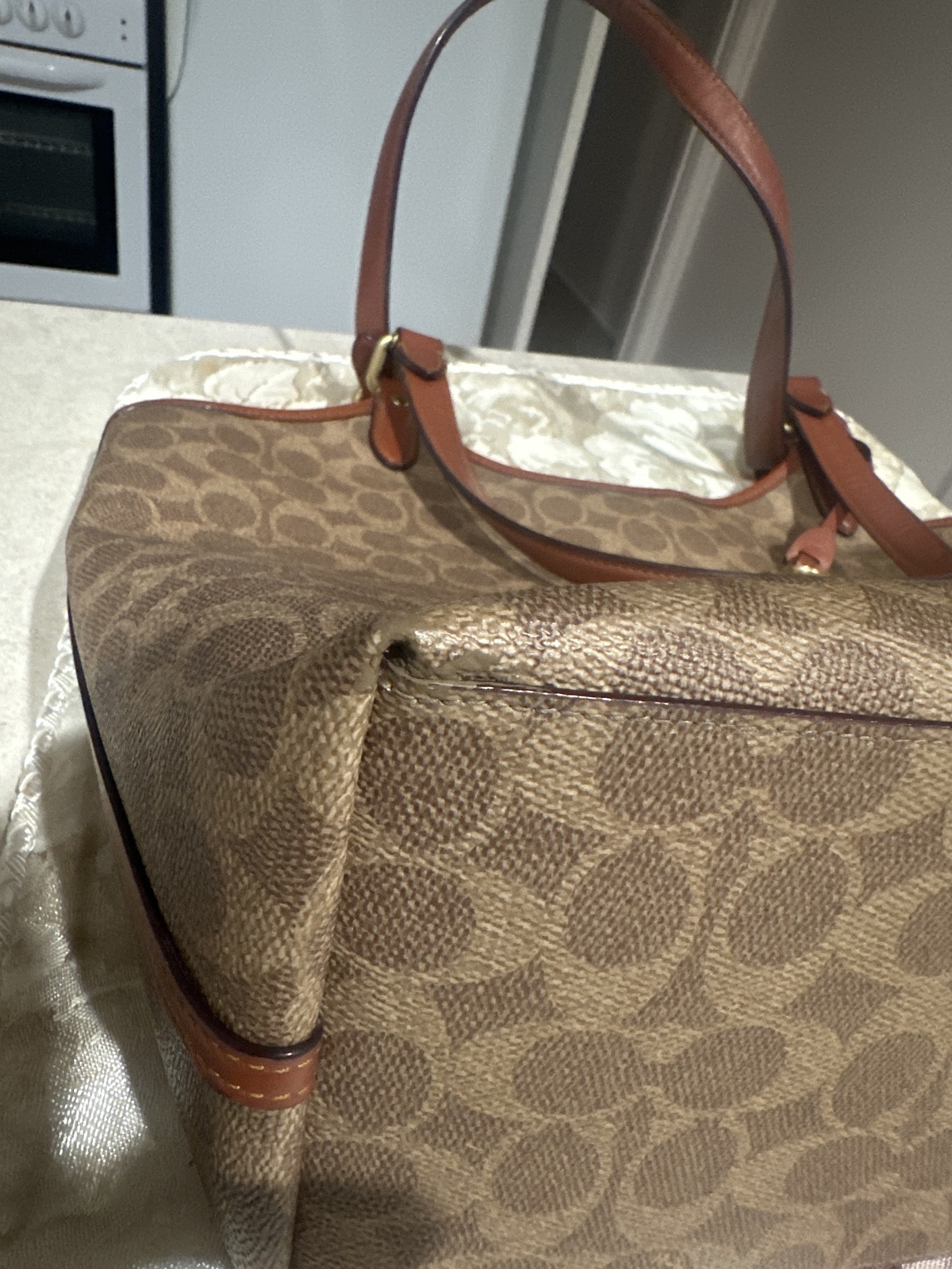 ladies Day tote in signature canvas