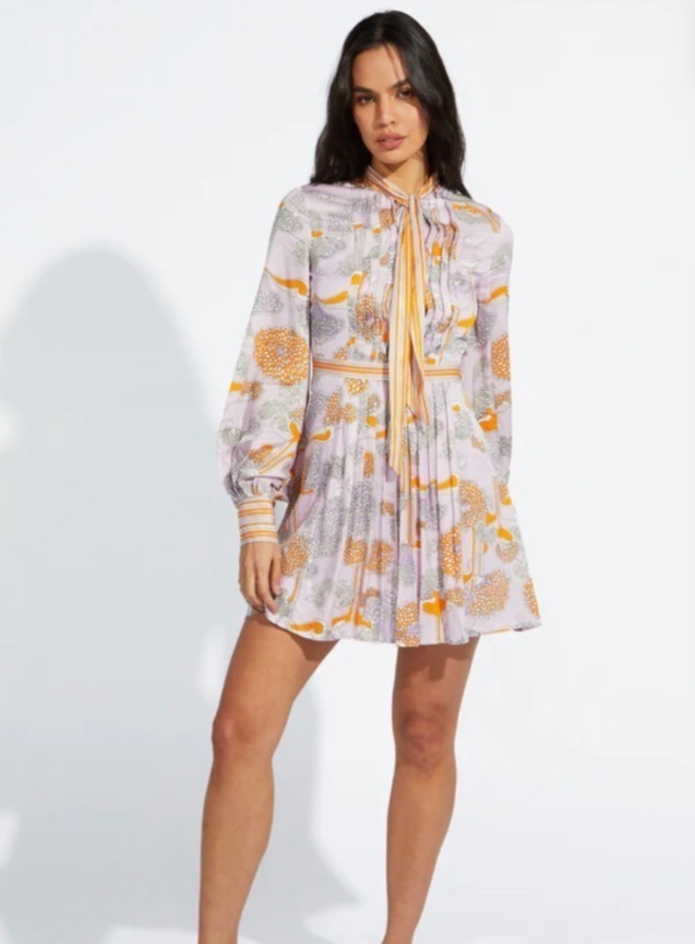 Retro Day Dream Mini Dress