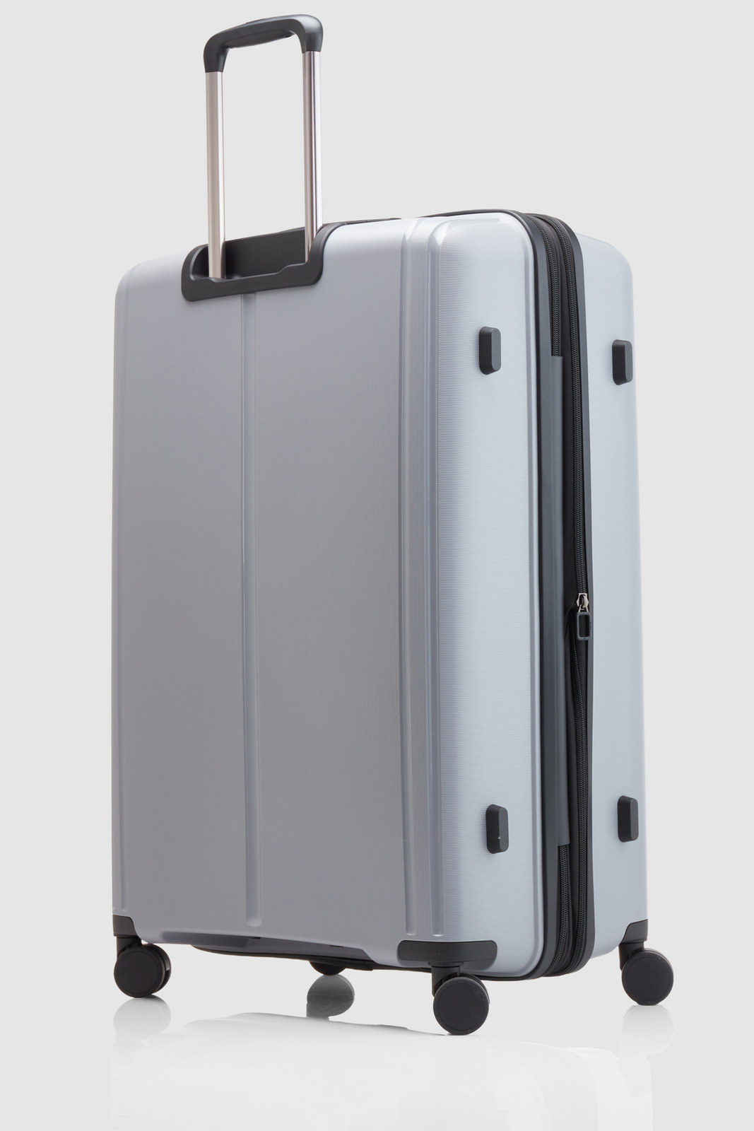 Birch Check-In 75cm Suitcase