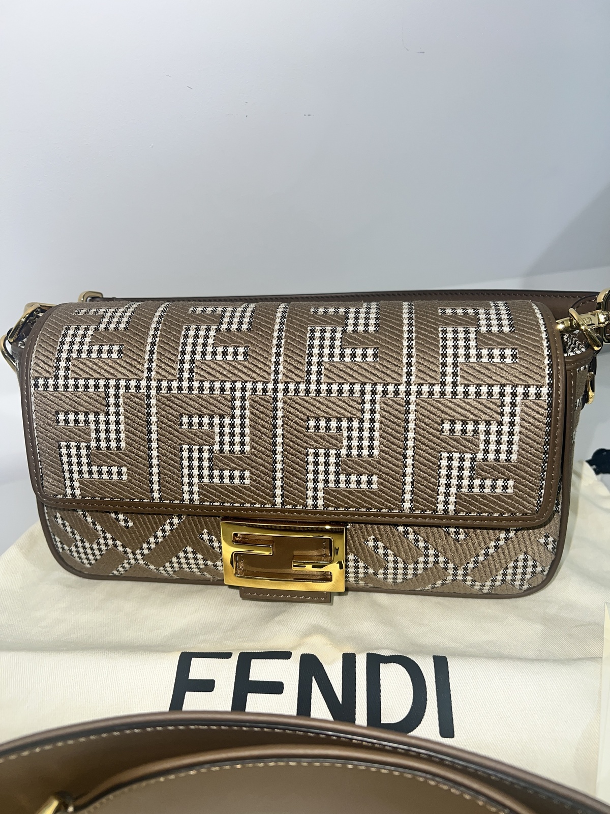 Medium Baguette Bag (AS NEW)