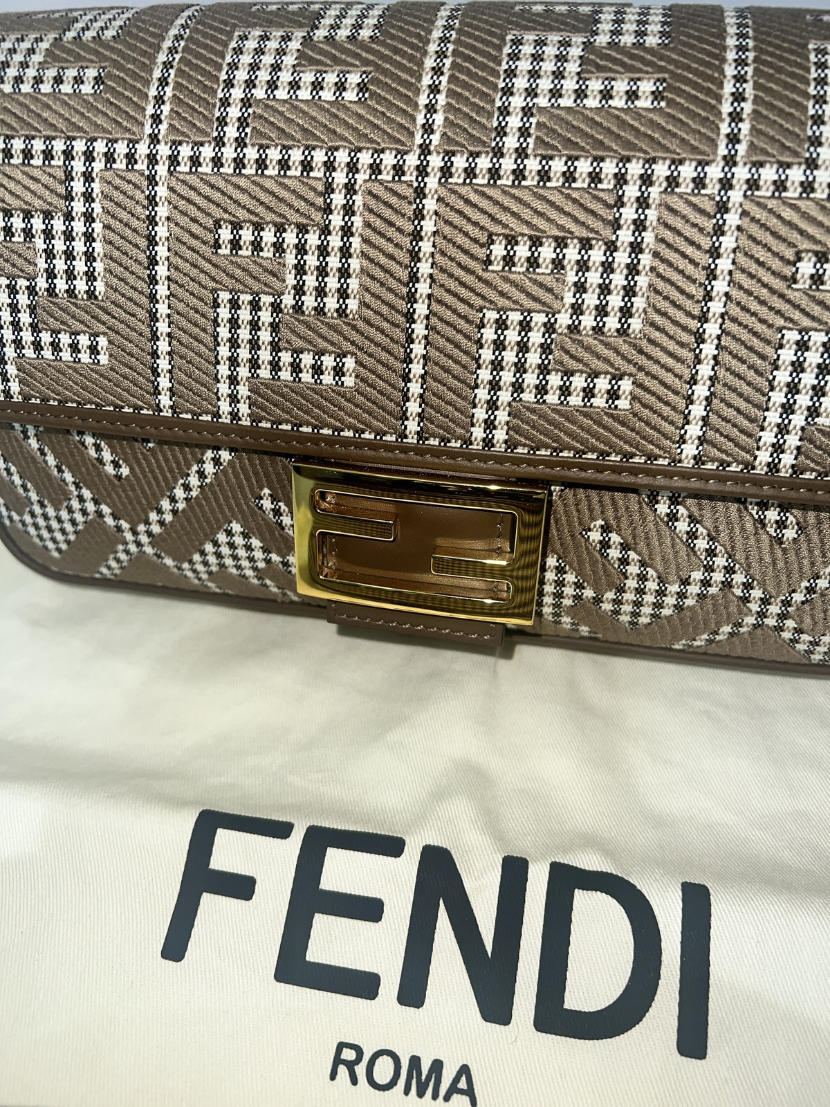 Medium Baguette Bag (AS NEW)