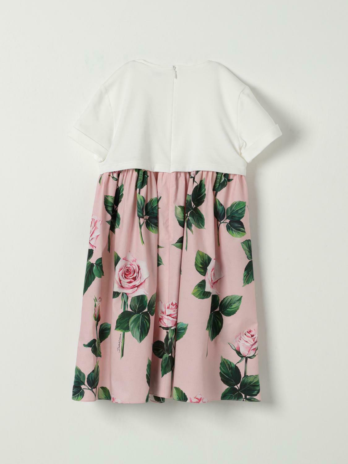 Rose Print Poplin Dress - Pink / 8 IT