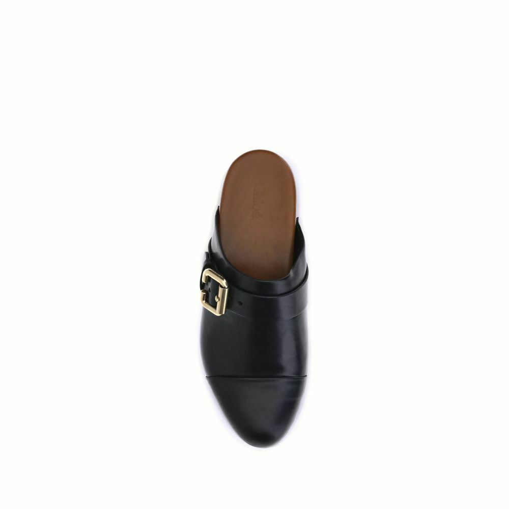 Studded Leather Buckle Clog - Black / 36 EU