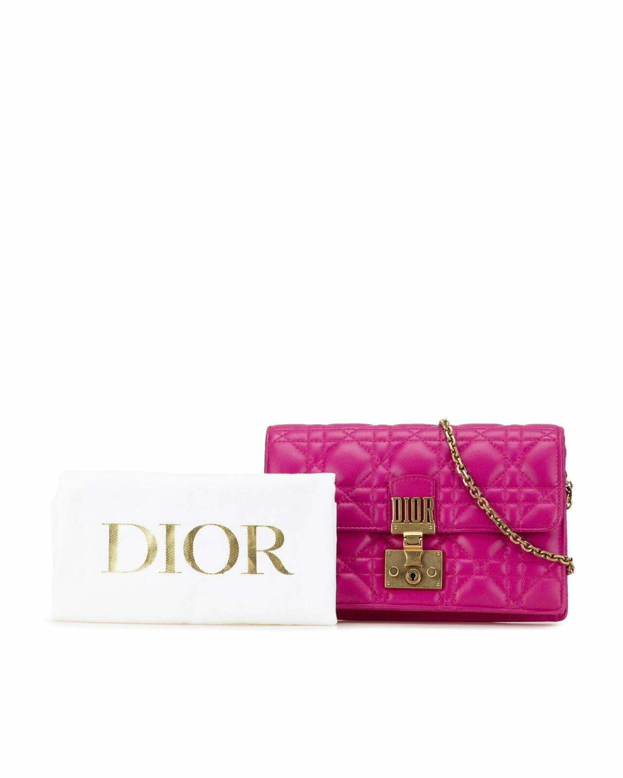 Dior Saddle Flap Wallet on Chain Fuchsia Lambskin Leather - Pink / One Size