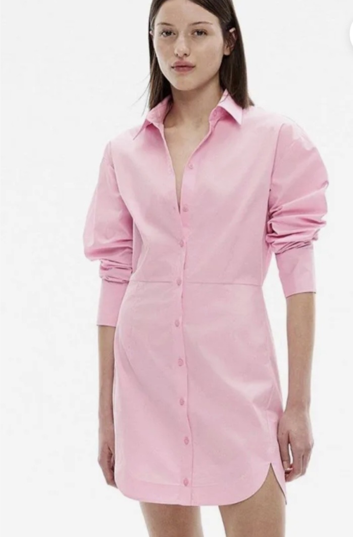 Cotton Mini Shirt Dress Floss Pink 6