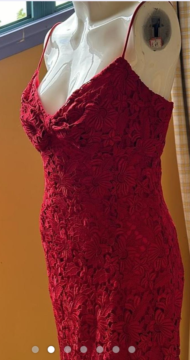 red lace designer midi dress, size 10. Small.