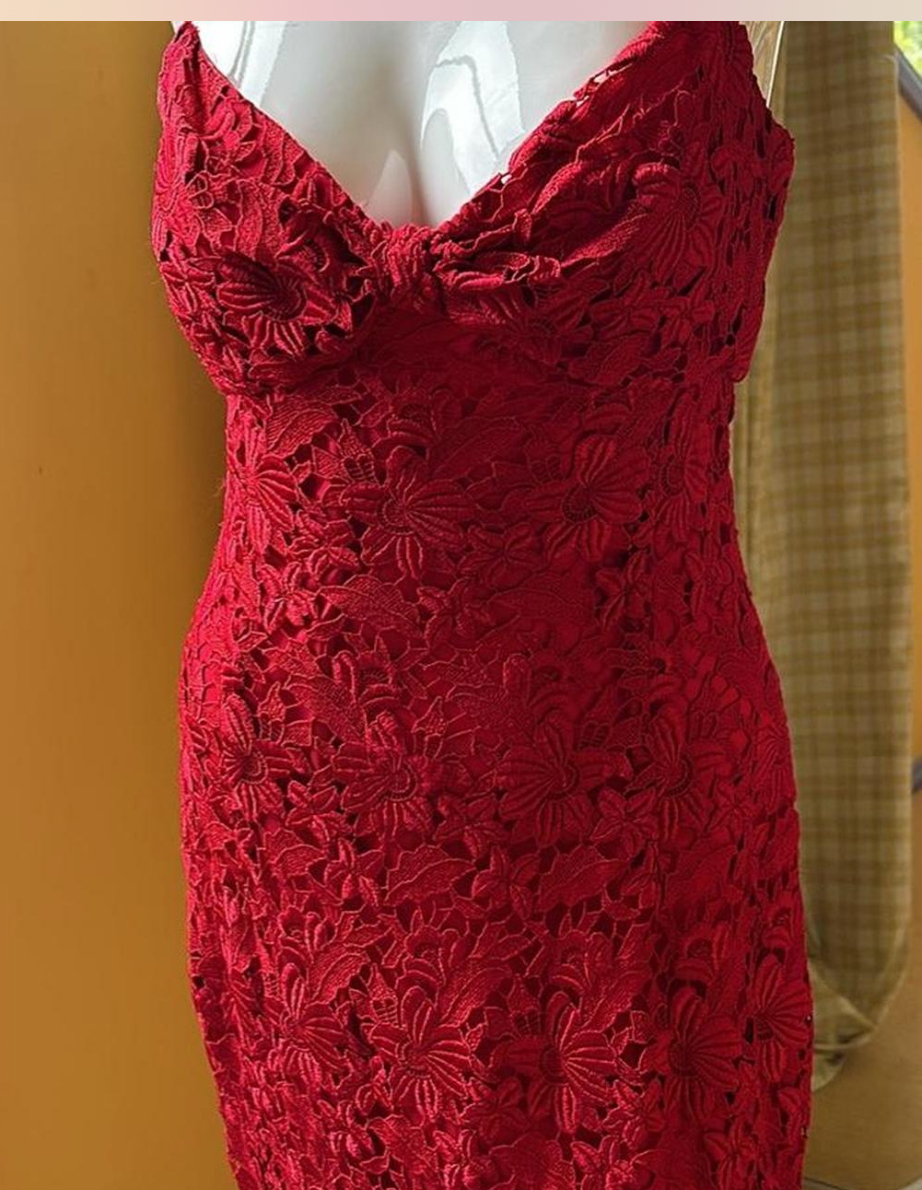 red lace designer midi dress, size 10. Small.