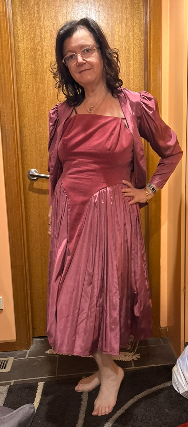 Plum silk and velvet vintage dress