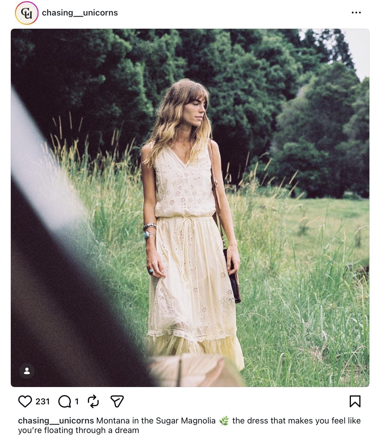 SUGAR MAGNOLIA DRESS