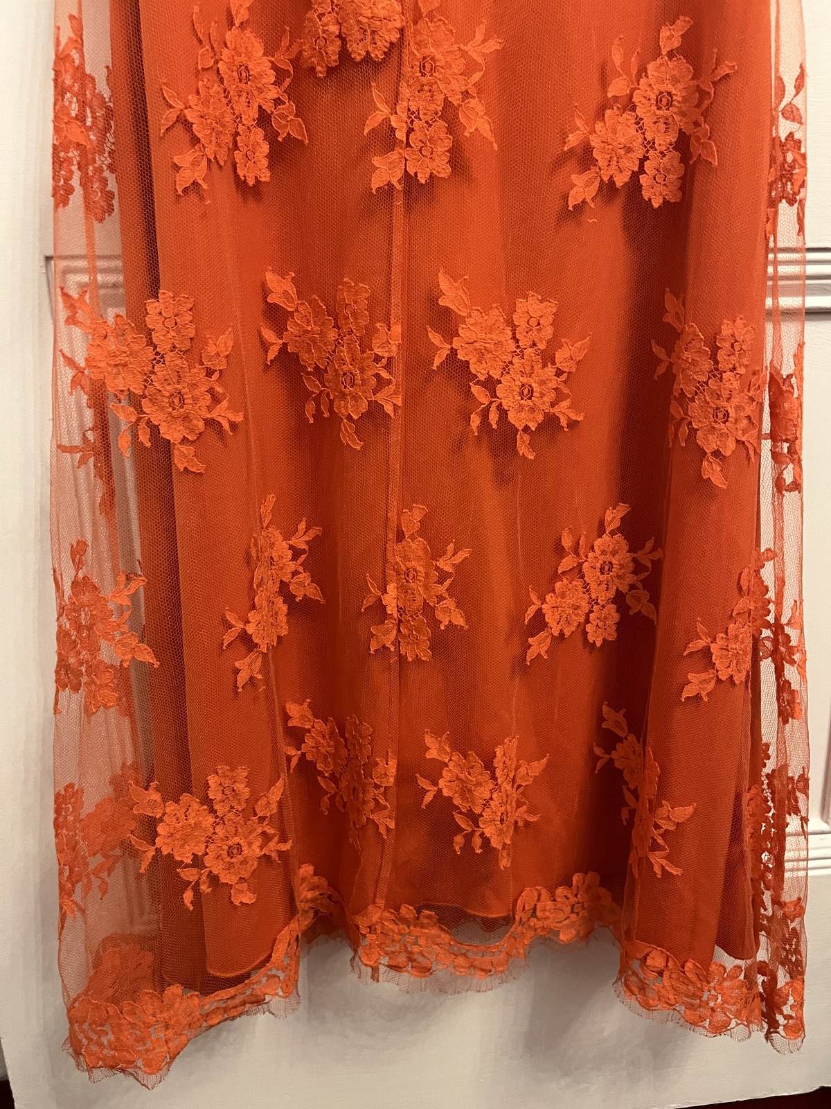 Delicie French Lace Fishtail Gown Mandarin size 10