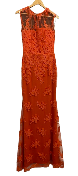Delicie French Lace Fishtail Gown Mandarin size 10