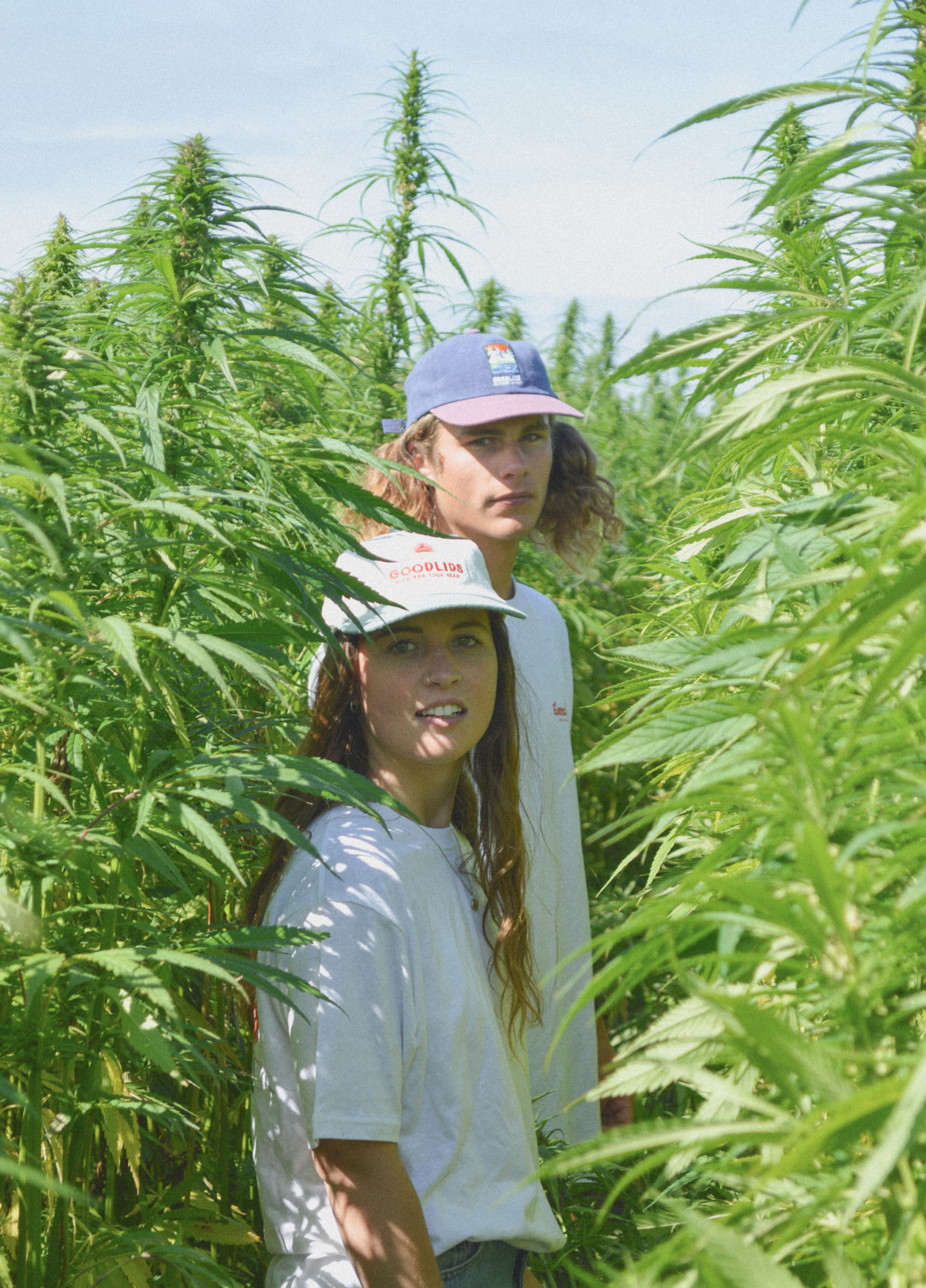 Scenic Lid - Navy/Lavender