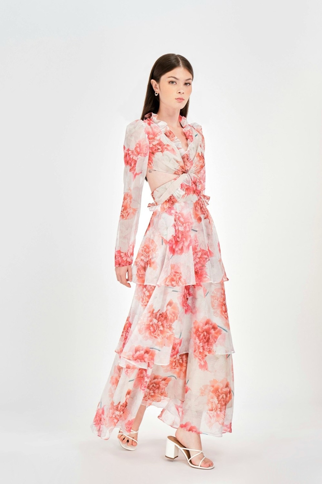 Rosa Maxi Dress (BNWOT)