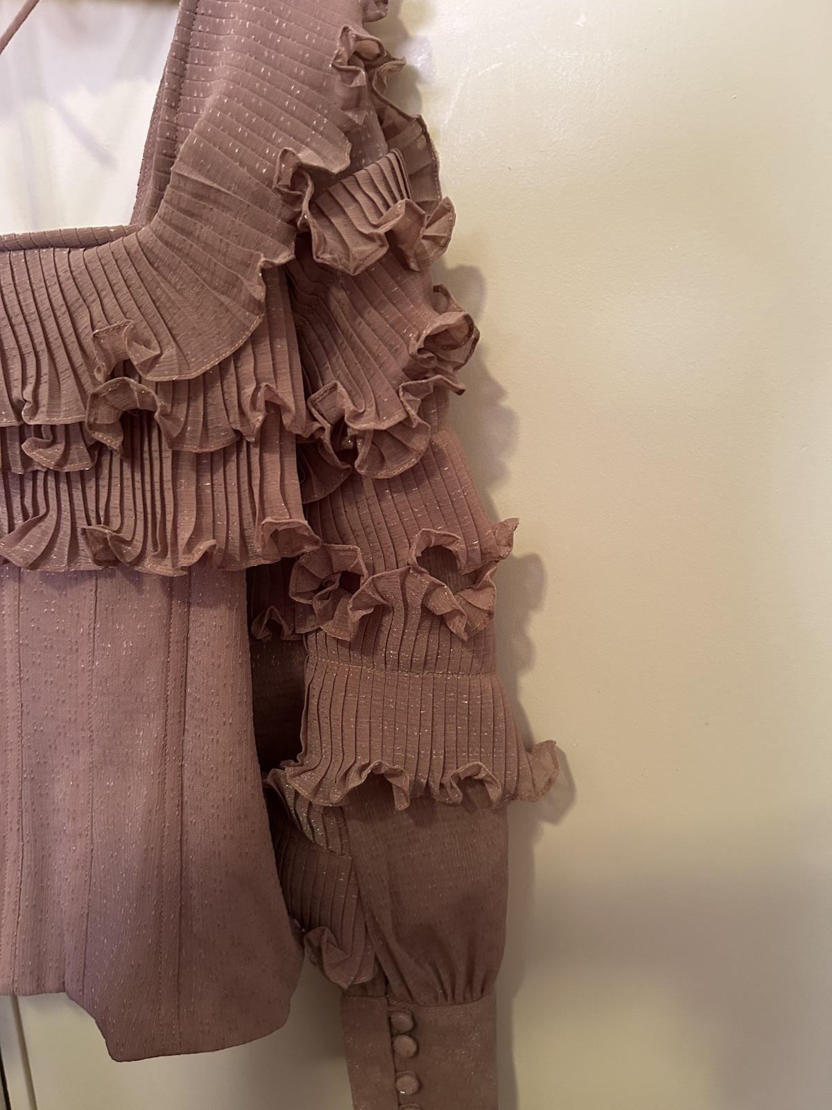Ruffle Blouse (BNWOT)