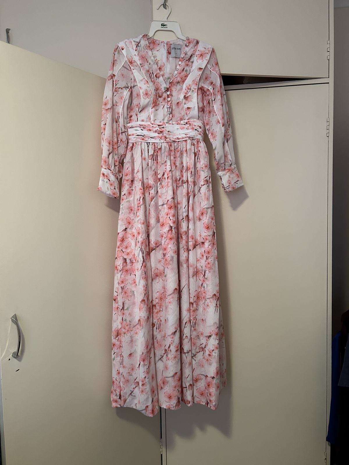 Xander Maxi Dress (BNWOT)
