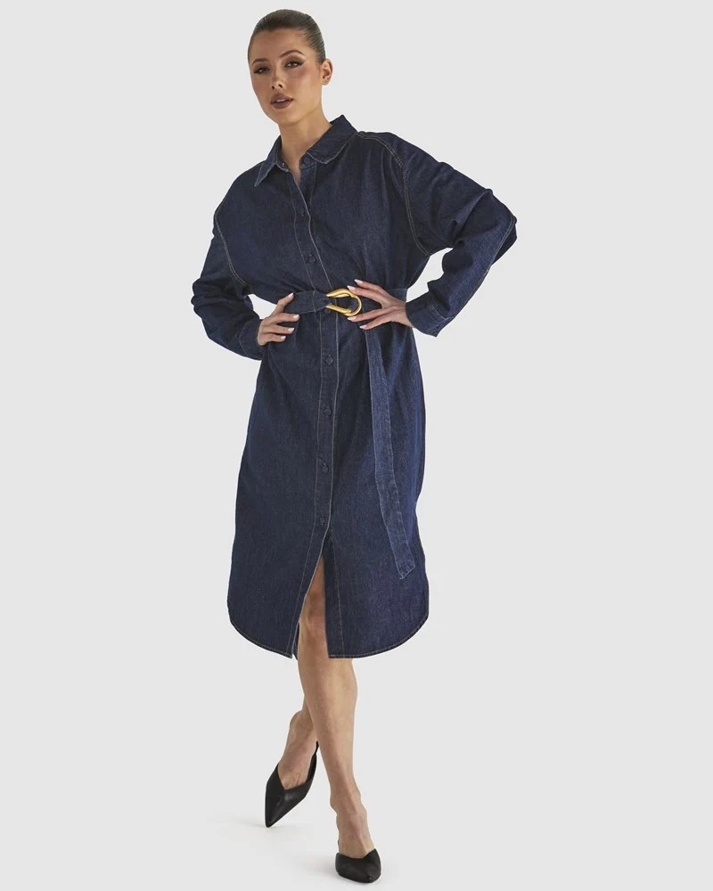 Soaring Shirt Dress (BNWT)