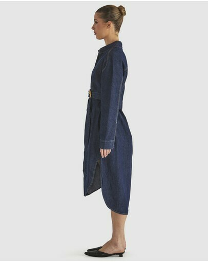 Soaring Shirt Dress (BNWT)