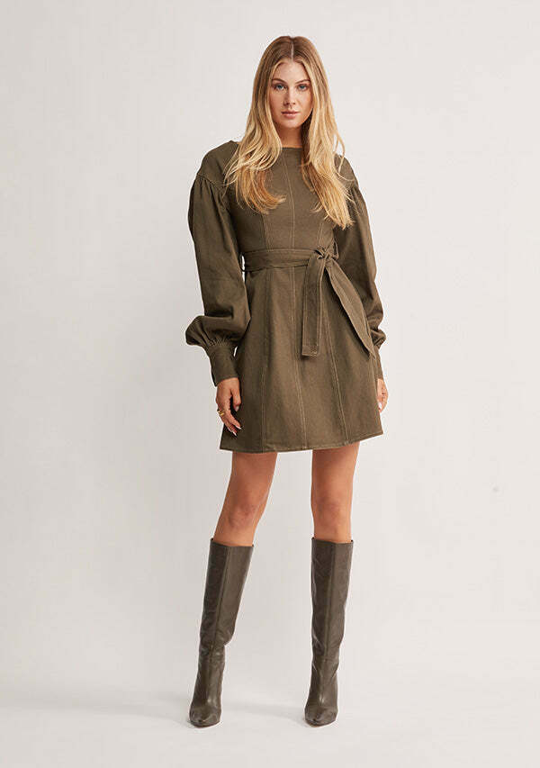 Waterlily Denim Mini Dress