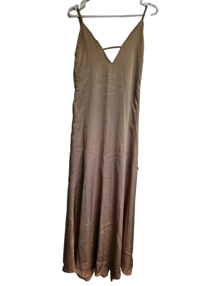 Champagne maxi dress (tags still on) 