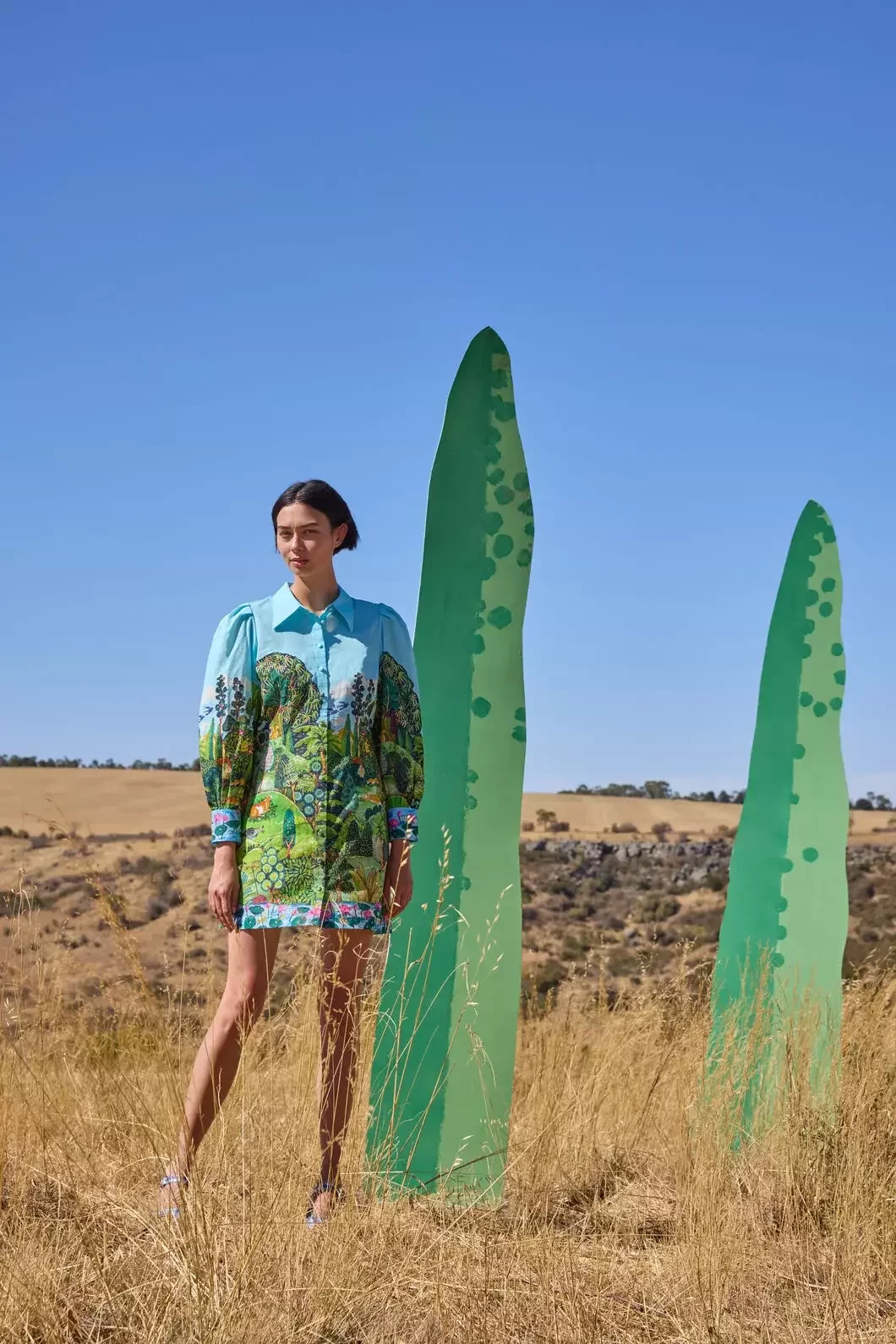 Royal Garden Shirt Dress