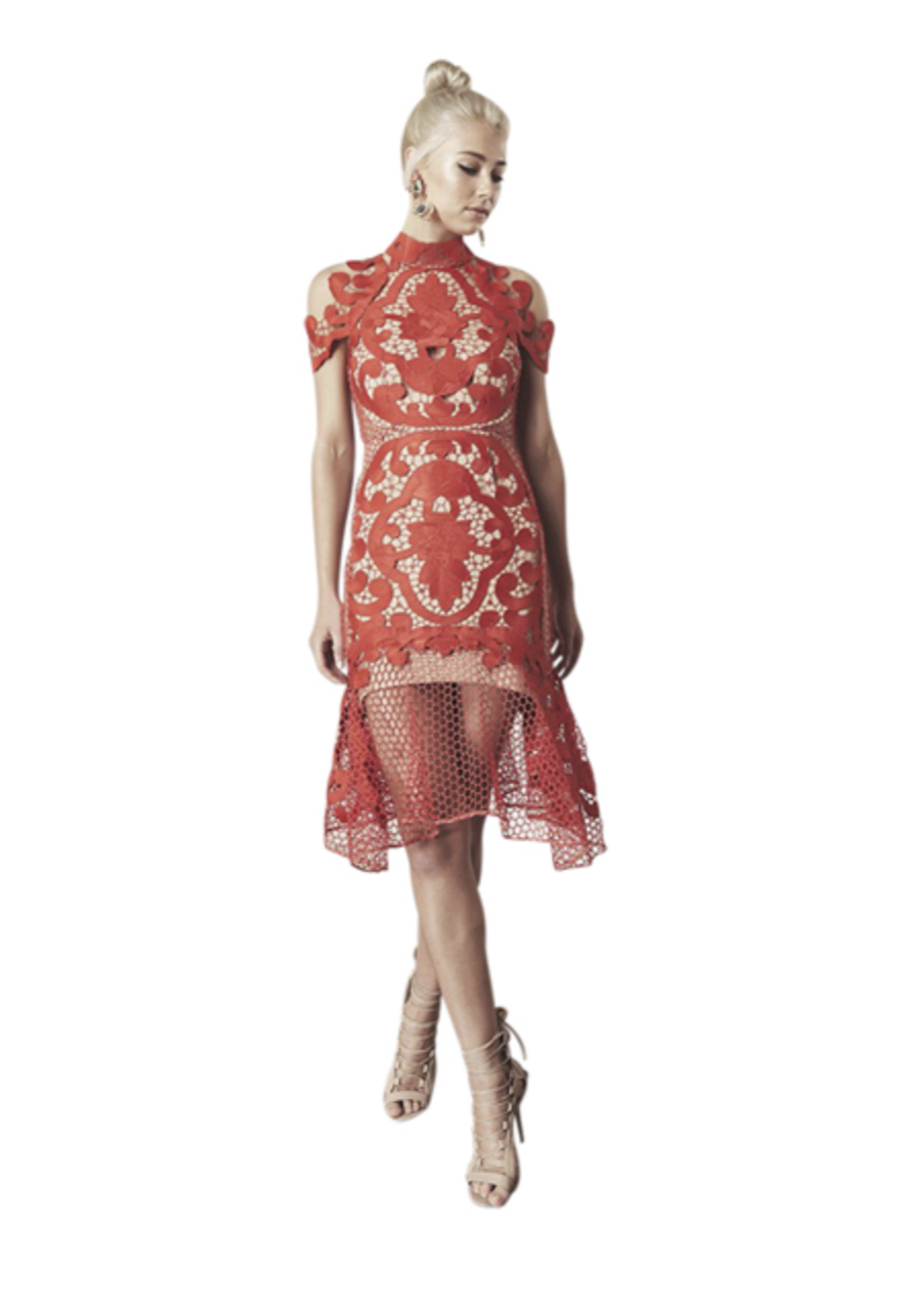 Rose Ceremony Midi Dress Size 10 New 