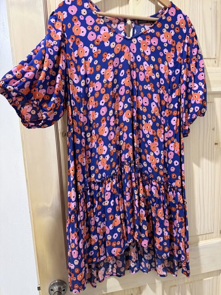 Rosa Dress in Periwinkle by Mr Zimi
