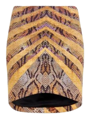 Snake skin high waist mini skirt BNWT Size 8 