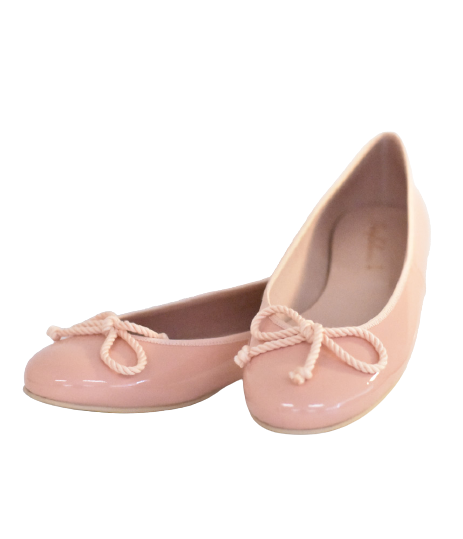  Ballet flats BNWT Size 39
