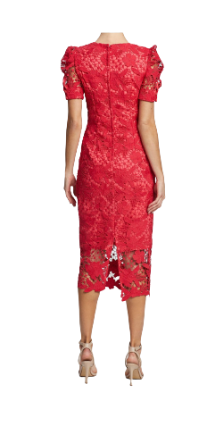Dress BNWT Size 12