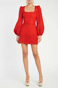 Portia Long Sleeve Mini Dress