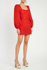 Portia Long Sleeve Mini Dress