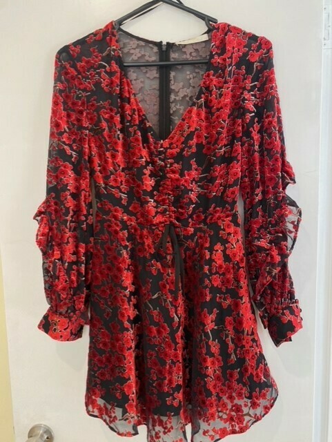 Paramore Mini Dress Size 8