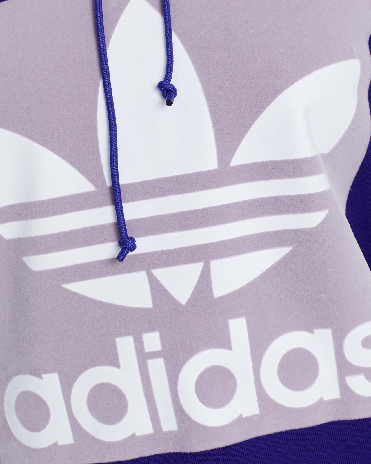 Trefoil Hoodie - Women's purple Size 14