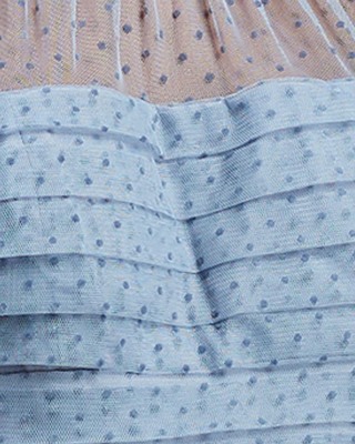 knee length dresses for ladies Dot Mesh Midi Dress main image 1