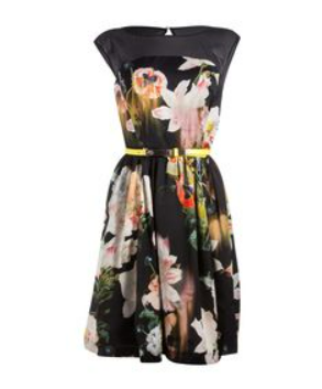 Ted Baker Spring or Summer Dress - AirRobe
