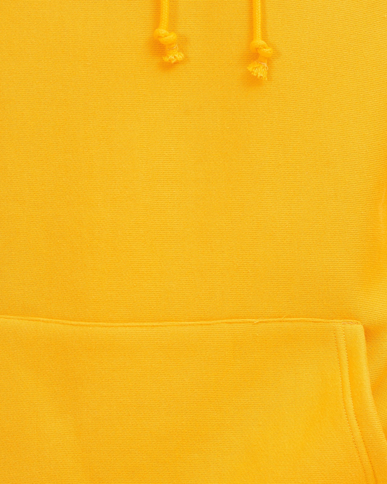 Reverse Weave Hoodie