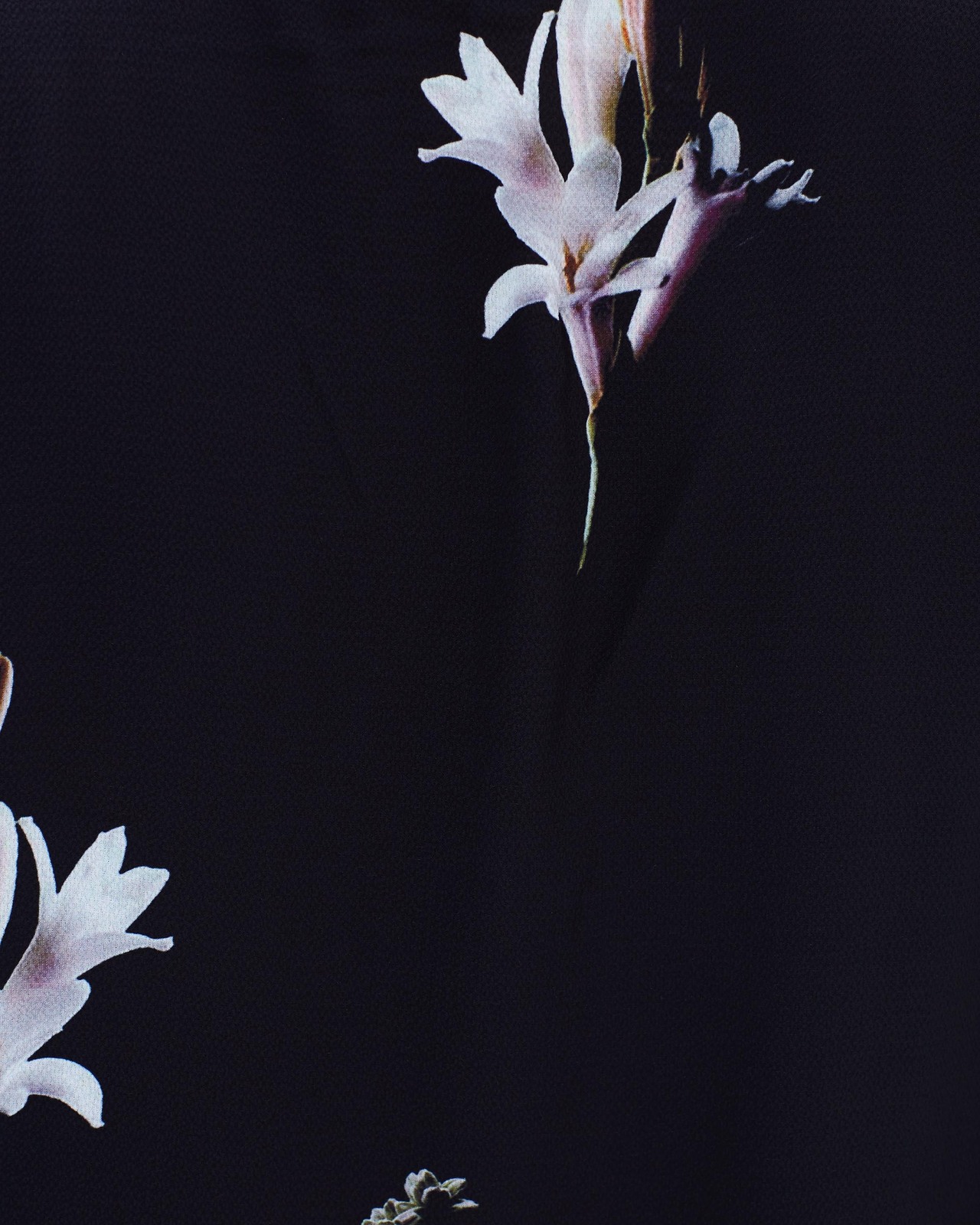 Romantic Lily Blouse