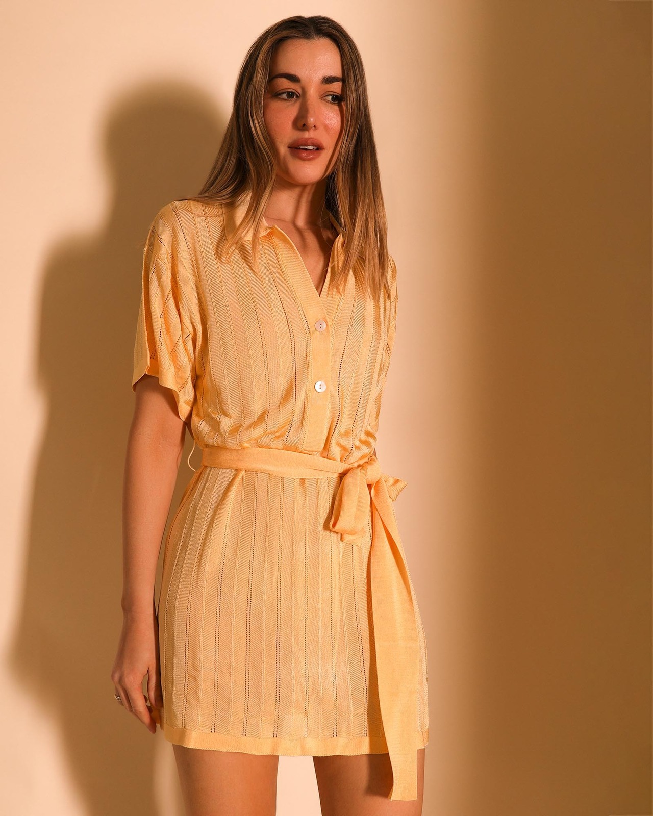 Maya Mini Dress