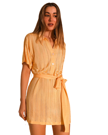 Maya Mini Dress