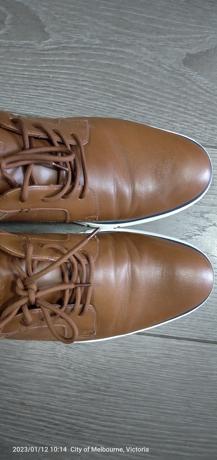 Dividend - Men's