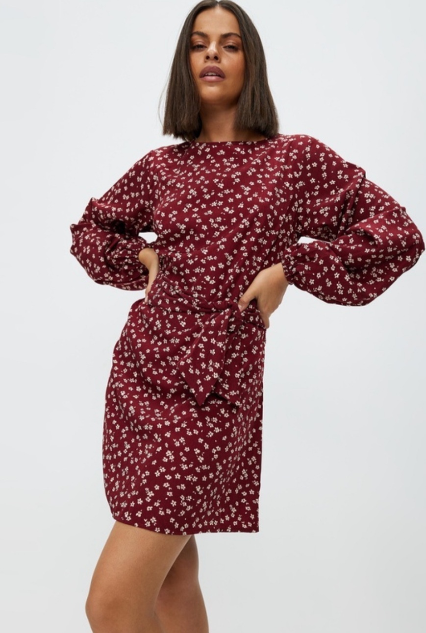 Jolie Tie Mini Dress