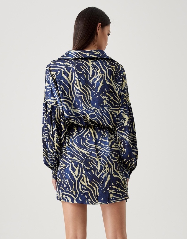 Bligh Shirt Dress