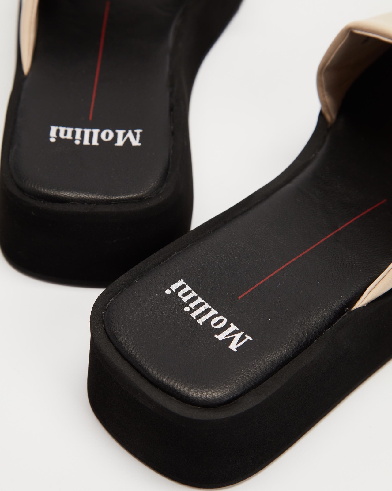 Purpose Platform Slides