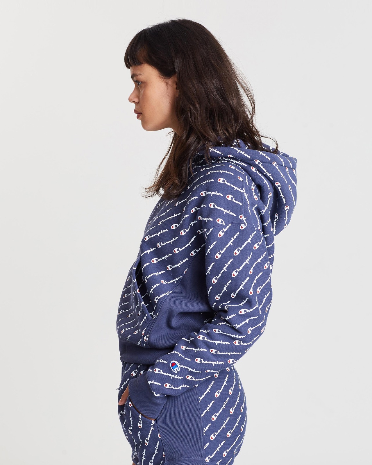 Reverse Weave Pull-Over Hoodie