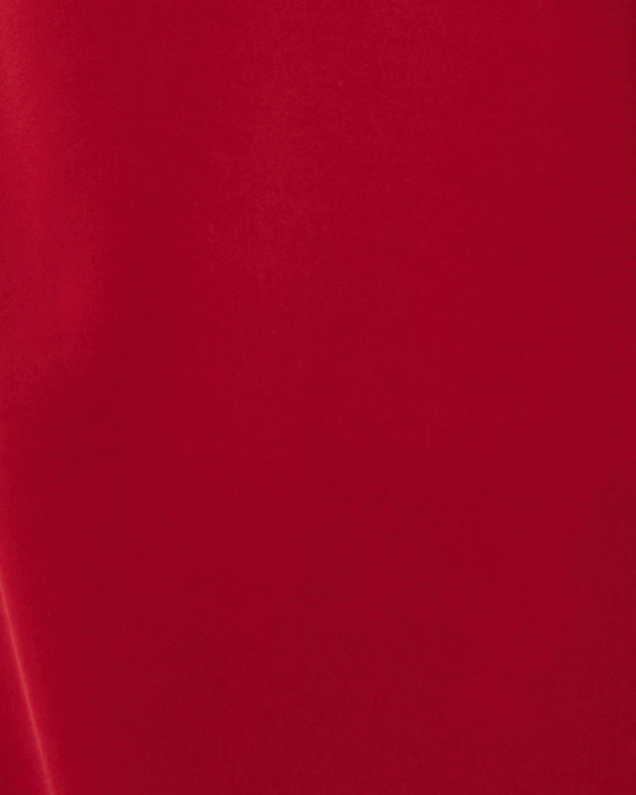 Ellery Frill Sleeve Dress