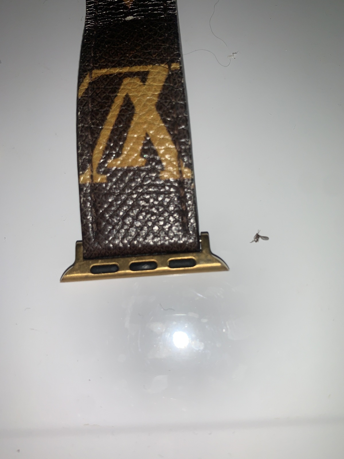 Apple series SE watch band