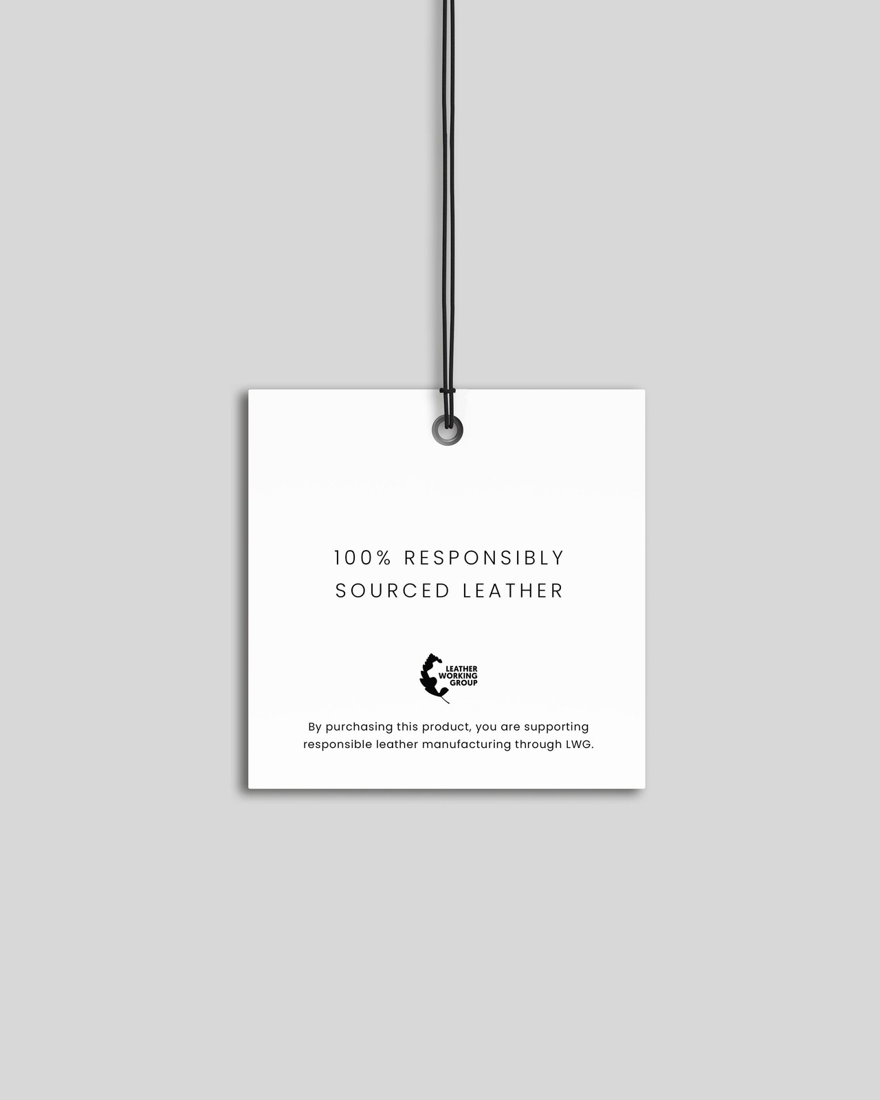 Davis Cropped Leather Pants