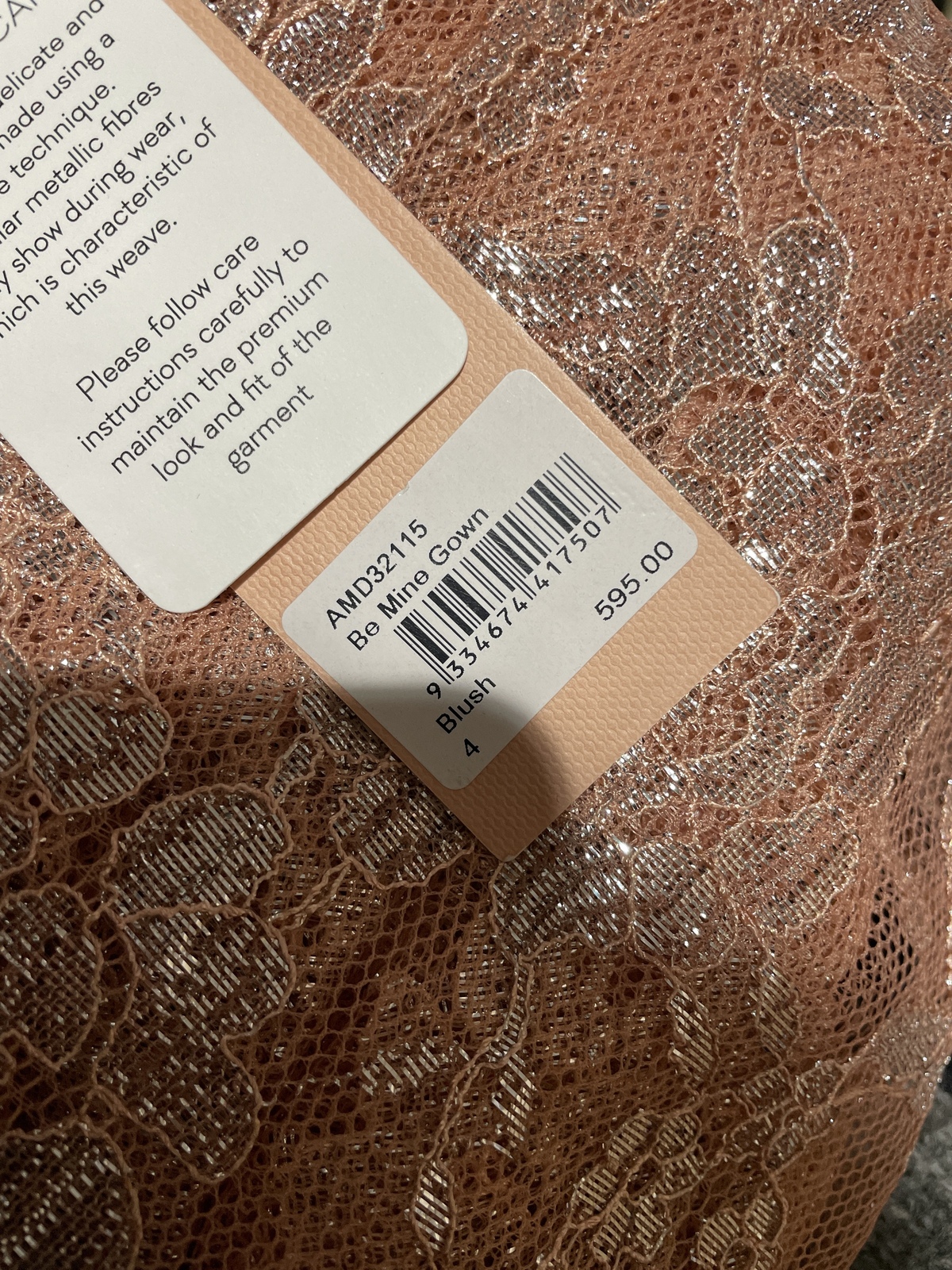 BNWT BLUSH BE MINE GOWN - SIZE 4 AU/0 US (RRP $595)